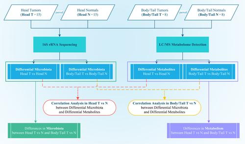 Microbiota and metabolite alterations in pancreatic head and body/tail cancer patients