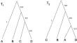 Tropical Logistic Regression Model on Space of Phylogenetic Trees.