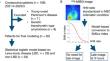 Sympathetic <sup>123</sup>I-metaiodobenzylguanidine index for Lewy body disease: probability-based diagnosis and identifying patients exempt from late imaging.