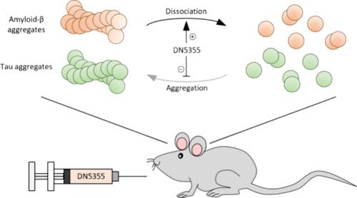 Modulation of Amyloid and Tau Aggregation to Alleviate Cognitive Impairment in a Transgenic Mouse Model of Alzheimer’s Disease