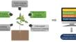 From Pixels to Phenotypes: Quest of Machine Vision for Drought Tolerance Traits in Plants