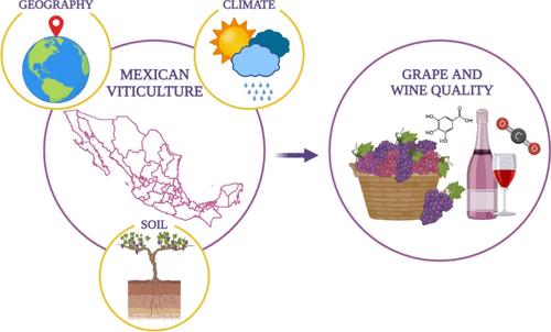 Mexican Wines: Impact of Geography, Climate, and Soil on the Quality of the Grape and Wine─A Review