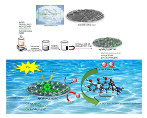 Photocatalytic Degradation of Tetracycline in Wastewater with Bio-based Matrix Magnetic Heterogeneous Nanocatalyst: Performance and Mechanism Study