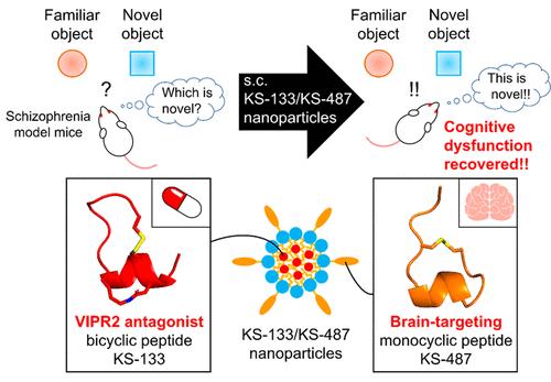 Cyclic Peptides KS-133 and KS-487 Multifunctionalized Nanoparticles Enable Efficient Brain Targeting for Treating Schizophrenia