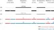 Distinct locomotor adaptation between conventional walking and walking with a walker.