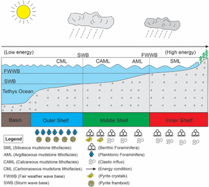 Black shale deposition during the Paleocene–Eocene thermal maximum: shale-gas potential of the Patala Formation, Himalayan fold-and-thrust belt, Pakistan (eastern Tethys)