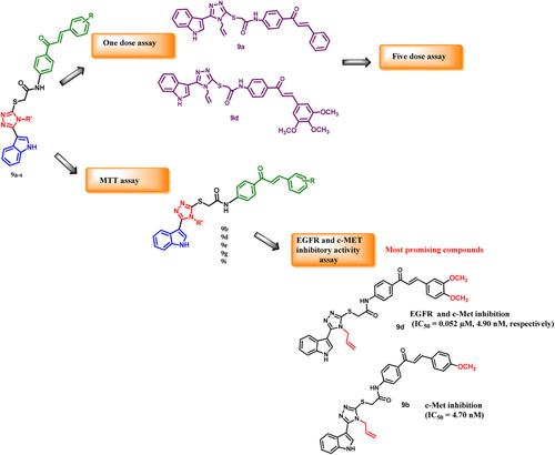 Design, synthesis, and antiproliferative activity of new indole/1,2,4-triazole/chalcone hybrids as EGFR and/or c-MET inhibitors