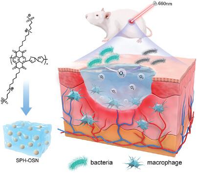 Silk Fibroin-Based Nanoparticles Blended Fluoridated Hydrogel with Photodynamic Antibacterial for Infected Wound Healing