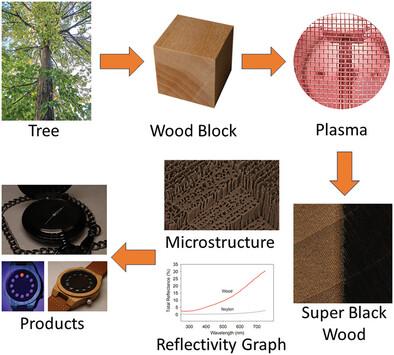 Super-Black Material Created by Plasma Etching Wood