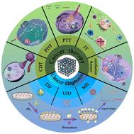 Prospects, advances and biological applications of MOF-based platform for the treatment of lung cancer