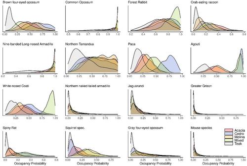 Tropical timber plantations as habitat for ground-dwelling mammals: A camera-trapping assessment in Central Panama