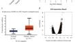 KIN17 functions in DNA damage repair and chemosensitivity by modulating RAD51 in hepatocellular carcinoma.