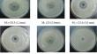 A new strain Lacticaseibacillus paracasei M12 and perspectives of its use against Erwinia amylovora