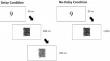 Perceptual decoupling in the sustained attention to response task is unlikely.