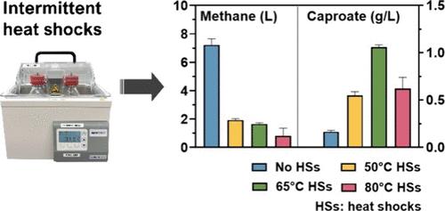 Intermittent Heat Shocks Can Reduce Methanogenesis and Increase Generation of Longer-Chain Volatile Fatty Acids in Anaerobic Bioreactors