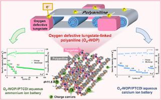 Conjugated polyaniline as “conveyor” in tungstate boosting cation storage for high-performance aqueous batteries