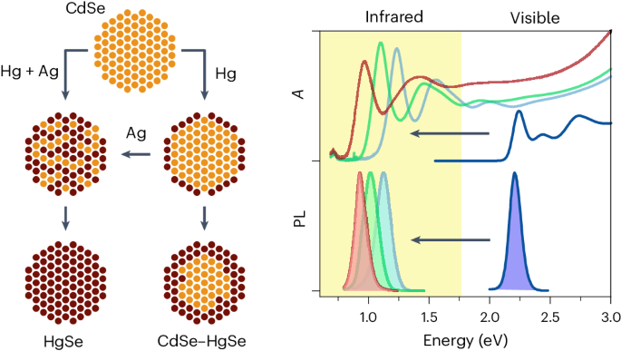 Interdiffusion-enhanced cation exchange for HgSe and HgCdSe nanocrystals with infrared bandgaps