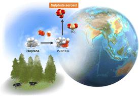 Kinetic study of isoprene hydroxy hydroperoxide radicals reacting with sulphur dioxide and their global-scale impact on sulphate formation†