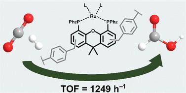 A solid xantphos macroligand based on porous organic polymers for the catalytic hydrogenation of CO2†