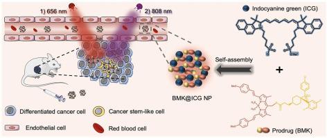 Sequential light irradiation-controlled cancer stemness inhibition for sensitized photothermal therapy