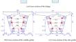 Enhancing Lateral Integrity of a Prestressed Concrete Box-Girder Bridge without Transverse Diaphragms: A Study on Strengthening Methods