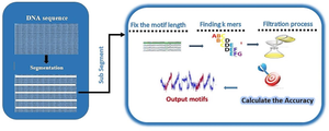 Finding the transcription factor binding locations using novel algorithm segmentation to filtration (S2F)