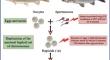 Transcript level of telomerase reverse-transcriptase (TERT) gene in the rainbow trout (Oncorhynchus mykiss) eggs with different developmental competence for gynogenesis.