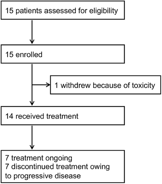 Pyrotinib and trastuzumab plus palbociclib and fulvestrant in HR+/HER2+ breast cancer patients with brain metastasis.