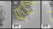 Effects of supercritical-CO2 treatment on the pore structure and H2 adsorptivity of single-walled carbon nanohorns