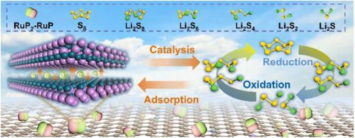 Coupling interfacial effect in heterogeneous RuP2-RuP for accelerating sulfur reduction reaction of lithium sulfur batteries