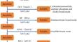 The release and migration mechanism of arsenic during pyrolysis process of Chinese coals