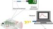 Real-time glucose monitoring biosensor system assesses the effects of different environmental light colors on Nile tilapia stress response