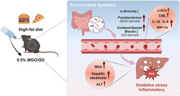 Dietary dicarbonyl compounds exacerbated immune dysfunction and hepatic oxidative stress under high-fat diets in vivo†
