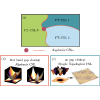 Classification of classical spin liquids: Typology and resulting landscape