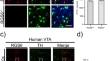 Regulator of G protein signaling 6 (RGS6) in dopamine neurons promotes EtOH seeking, behavioral reward, and susceptibility to relapse.