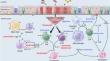 Weighted Breaths: Exploring Biologic and Non-Biologic Therapies for Co-Existing Asthma and Obesity.