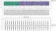 Identification of miRNA-Target Gene-Transcription Factor Regulatory Network as Functional Motifs Involved in Glomerular Diabetic Nephropathy