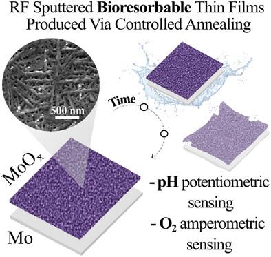 A Fully-Bioresorbable Nanostructured Molybdenum Oxide-Based Electrode for Continuous Multi-Analyte Electrochemical Sensing