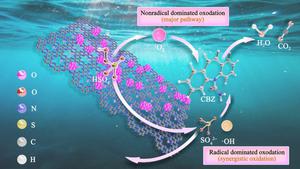 Synergy enhancement of Co single atoms and asymmetric subnanoclusters for Fenton-like activation