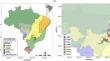 Diversity patterns reveal the singularities of the savanna woody flora in the Cerrado-Amazonia transition