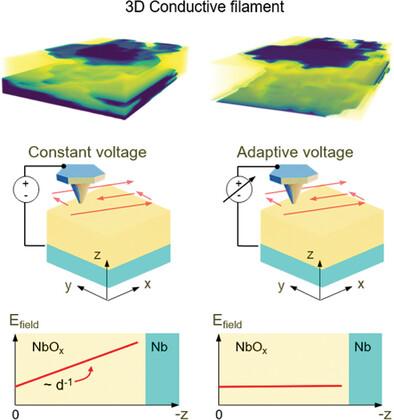 Adaptive Scalpel Scanning Probe Microscopy for Enhanced Volumetric Sensing in Tomographic Analysis