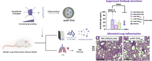 Impact of antigen loading in tolerogenic nanoparticles to mitigate Th2-mediated allergic lung inflammation.