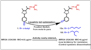 Position switch of phenylthiazoles: novel compounds with promising anti-MRSA USA300