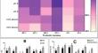 Evaluation of synbiotic combinations of commercial probiotic strains with different prebiotics in in vitro and ex vivo human gut microcosm model.