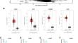 Targeting PAX8 sensitizes ovarian cancer cells to ferroptosis by inhibiting glutathione synthesis