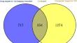 Exploration into the Mechanism of Yiyi Baijiang Decoction Attenuating Chronic Pelvic Inflammation Based on Network Pharmacology and Experimental Verification.