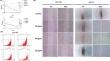 Cinnamaldehyde Regulates the Migration and Apoptosis of Gastric Cancer Cells by Inhibiting the Jak2/Stat3 Pathway.