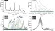 UV Microbursts in the Auroral Zone Measured by a Multichannel Imaging Photometer