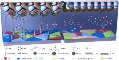 Synergistic dual-additive regulated carbonate electrolyte stabilizes bidirectional interface for aggressive Ni-rich Li-metal full batteries