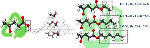 Production of alkyl levulinates as a versatile precursor by phosphomolybdate-impregnated g-C3N4 catalysts